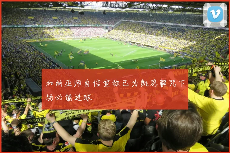 加纳巫师自信宣称已为凯恩解咒下场必能进球