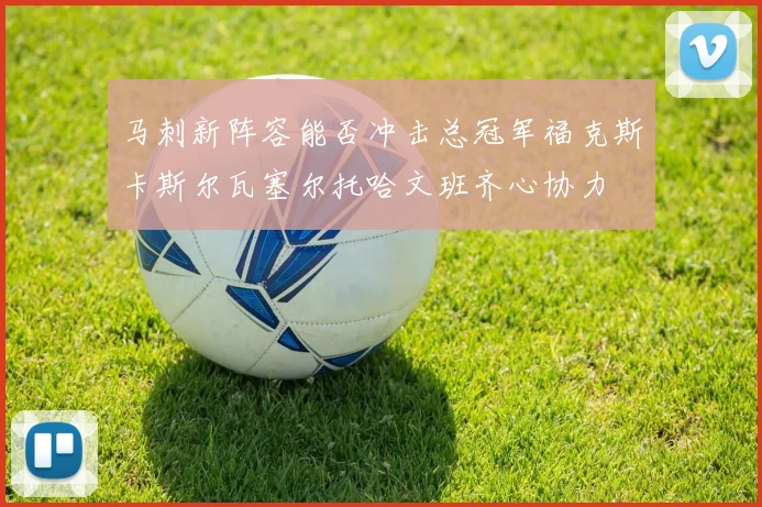 马刺新阵容能否冲击总冠军福克斯卡斯尔瓦塞尔托哈文班齐心协力