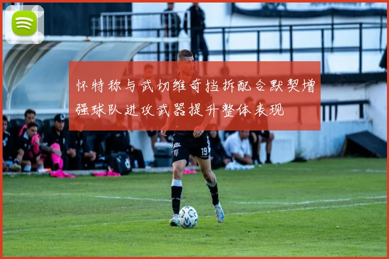 怀特称与武切维奇挡拆配合默契增强球队进攻武器提升整体表现